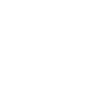 NSA Logo image